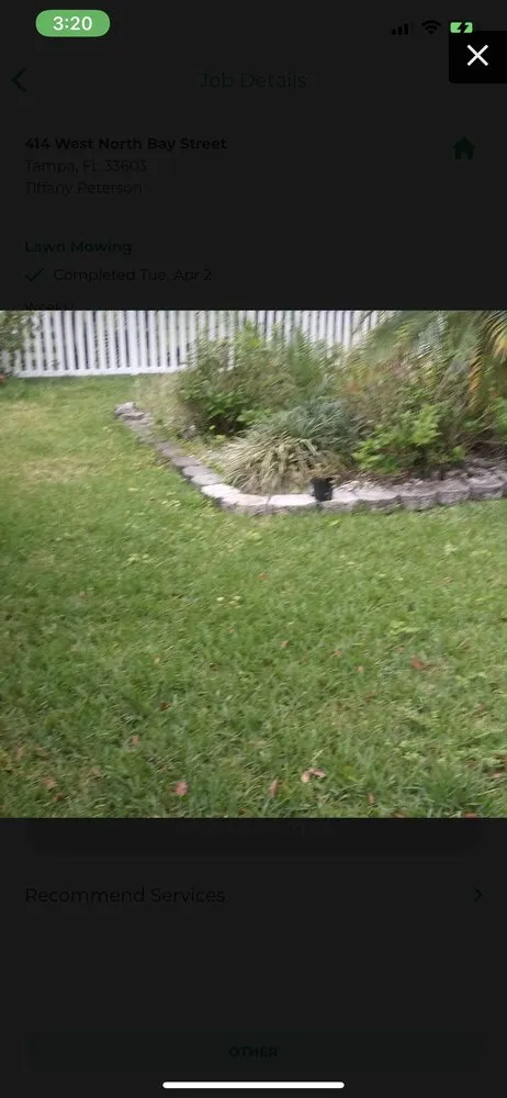 Local outdoor landscaping experts serving Tampa, FL - Beckford’s Yard & More