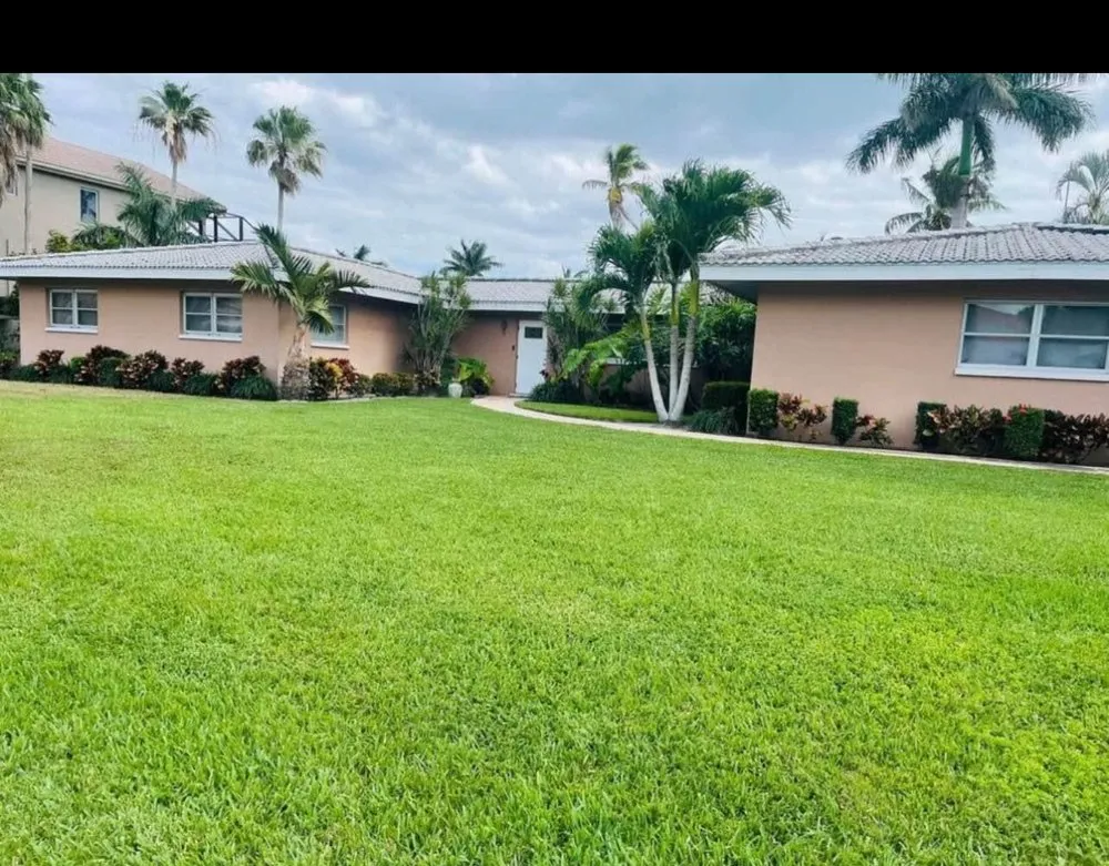 Local landscape installation experts serving Tampa, FL - Beckfords Yard & Tree