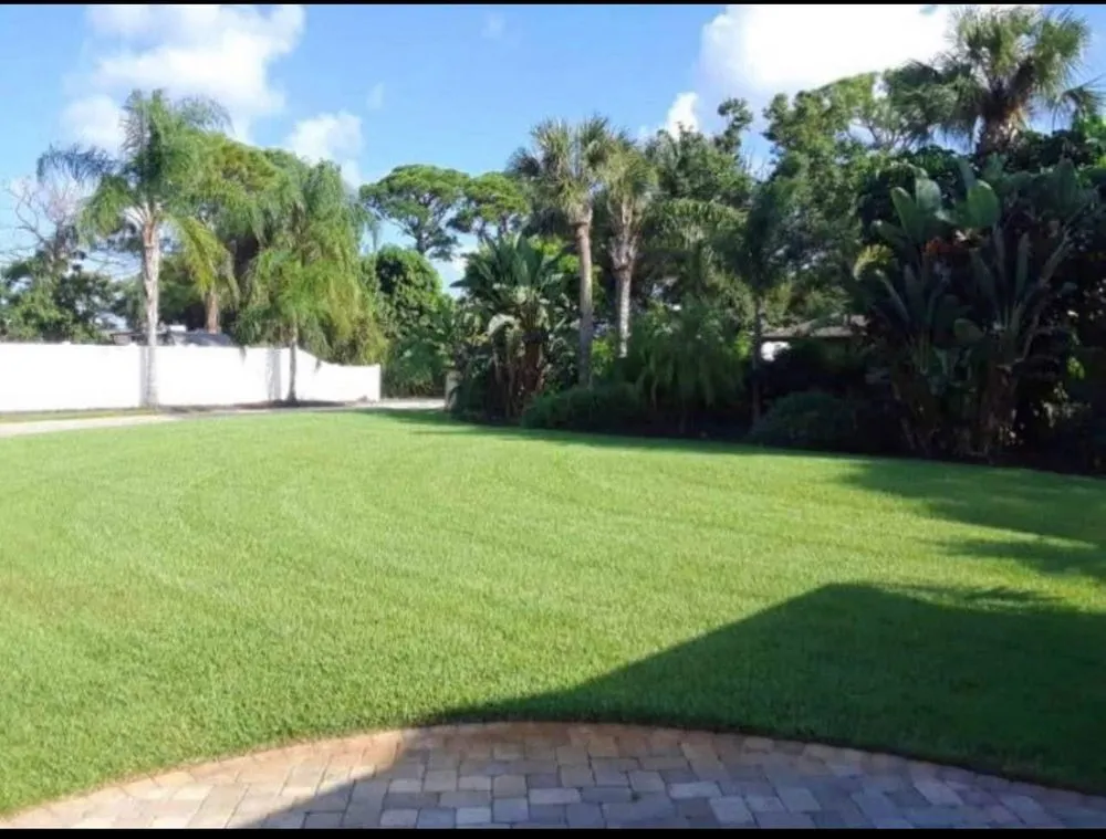 Trusted outdoor landscaping for residential properties across Tampa, FL - Beckfords Yard & Tree