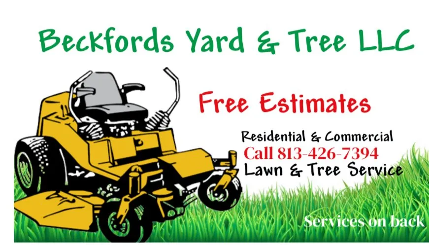Professional lawn care service near you across Tampa, FL - Beckfords Yard & Tree