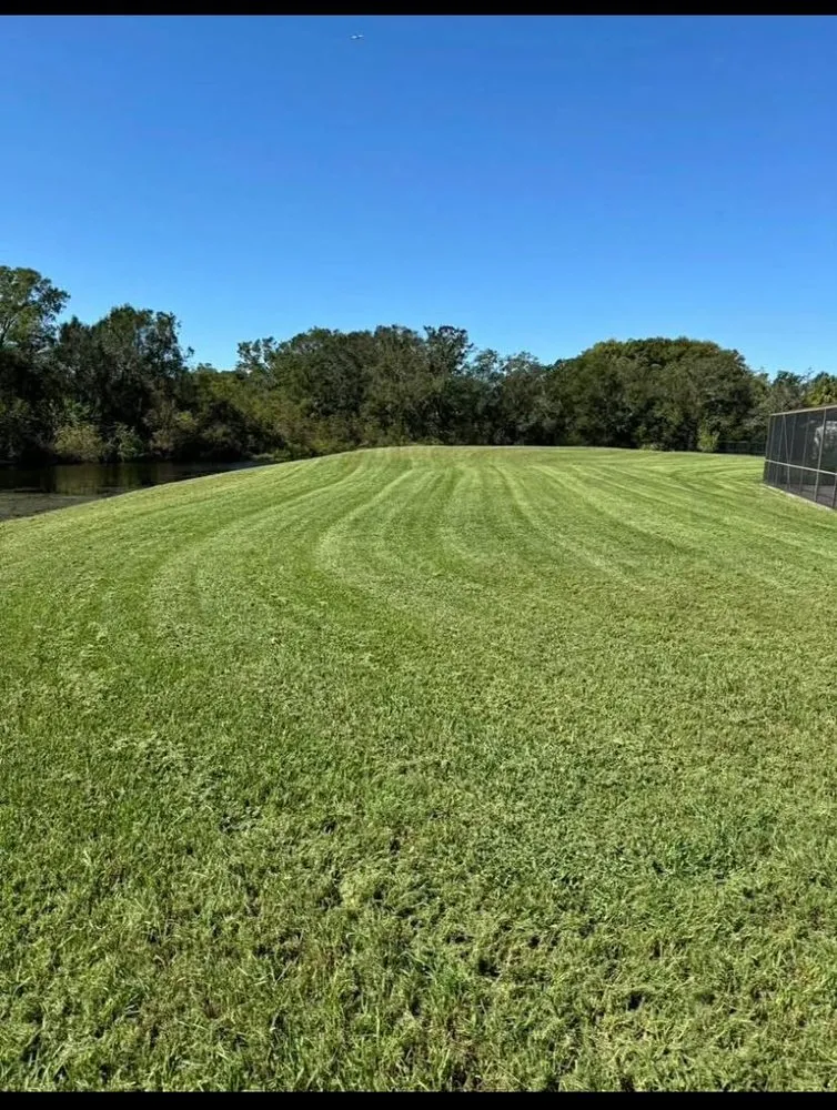 Custom landscaping services in Tampa, FL - Beckfords Yard & Tree