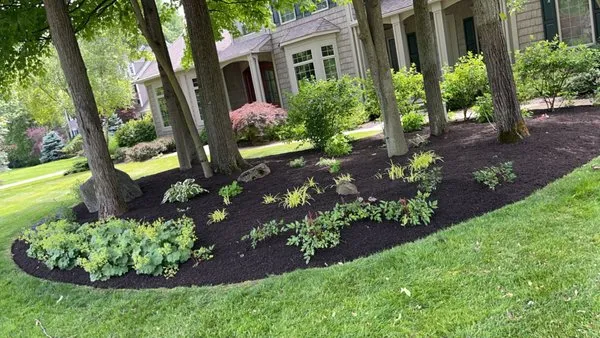 Beckit’s Tree & Lawn