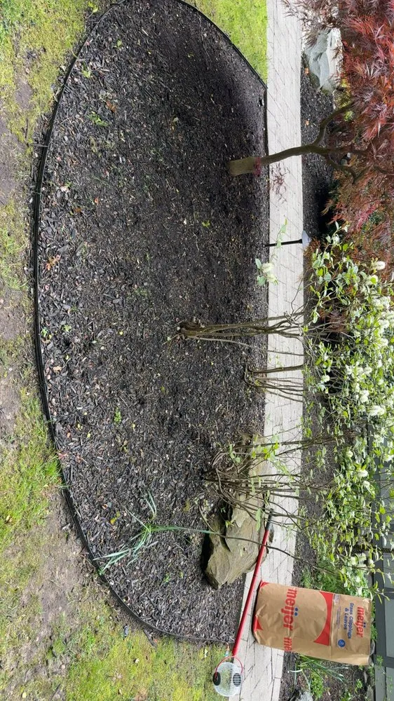 Expert yard cleanup service in Muskegon, MI - Beckley Lawn Care