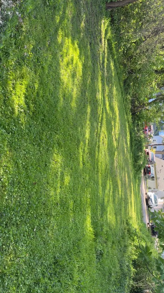 Affordable landscape installation in Muskegon, MI by Beckley Lawn Care