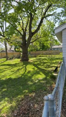 Beckley Lawn Care Logo