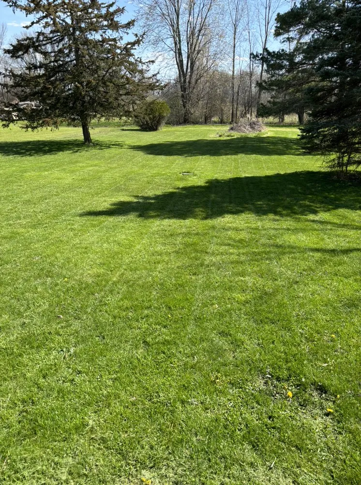 Reliable lawn care service for residential properties across Freeland, MI - Beckman Lawn care