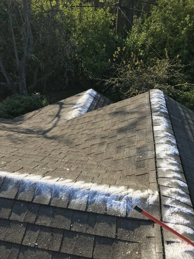 Professional garden landscaping in Port Orchard, WA - Beckman property cleanup