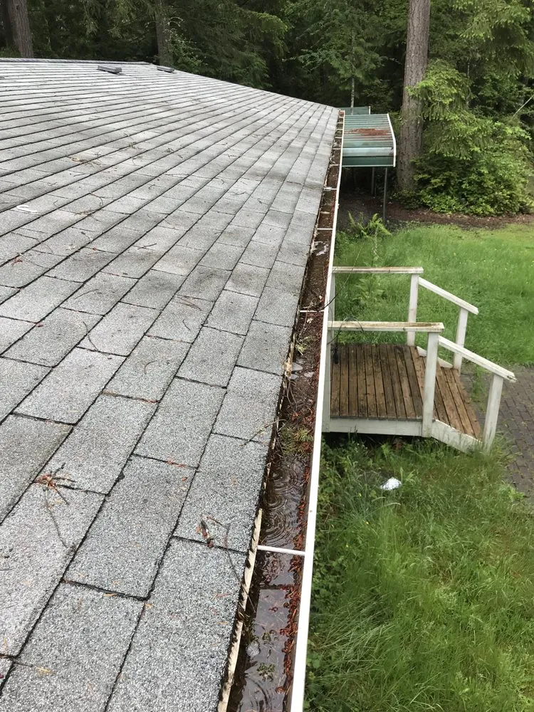 Professional lawn care service in Port Orchard, WA - Beckman property cleanup