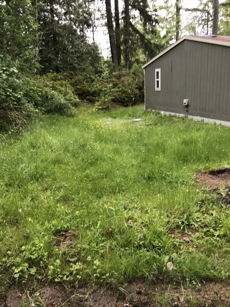 Expert landscaping services in Port Orchard, WA by Beckman property cleanup