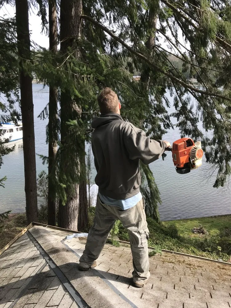 Professional residential landscaping experts serving Port Orchard, WA - Beckman property cleanup