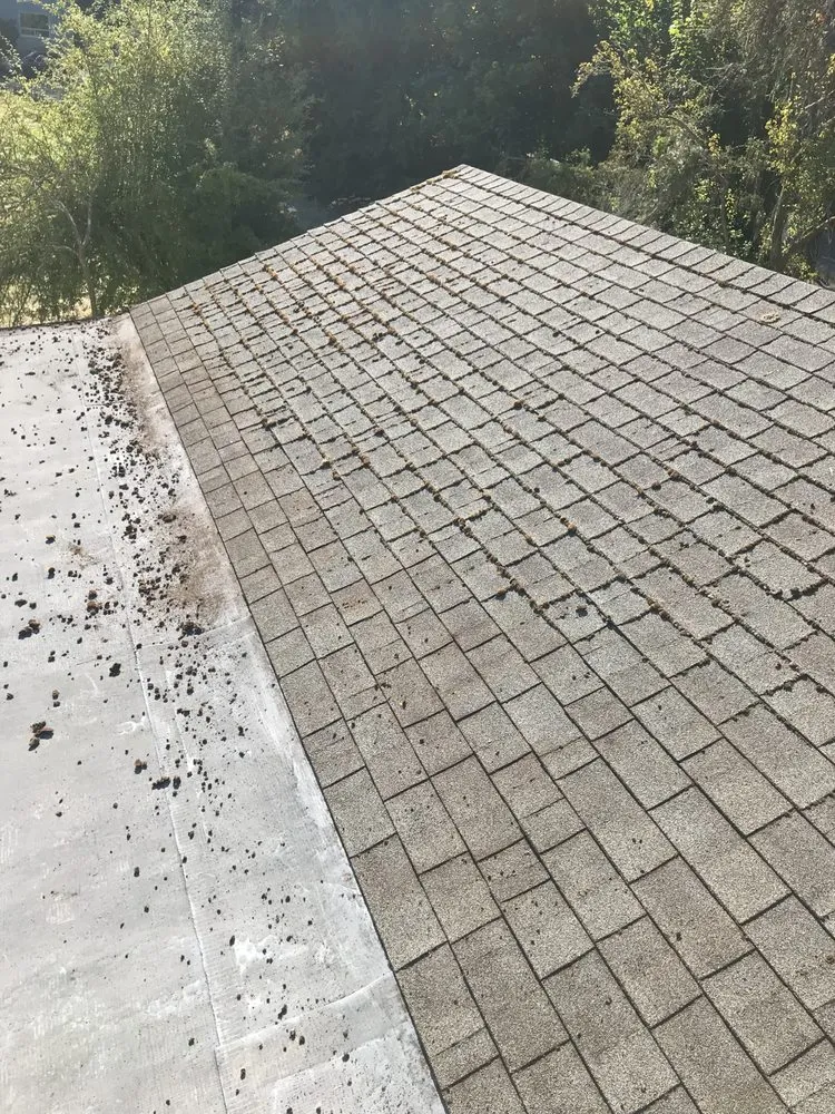 Reliable lawn care service in Port Orchard, WA - Beckman property cleanup