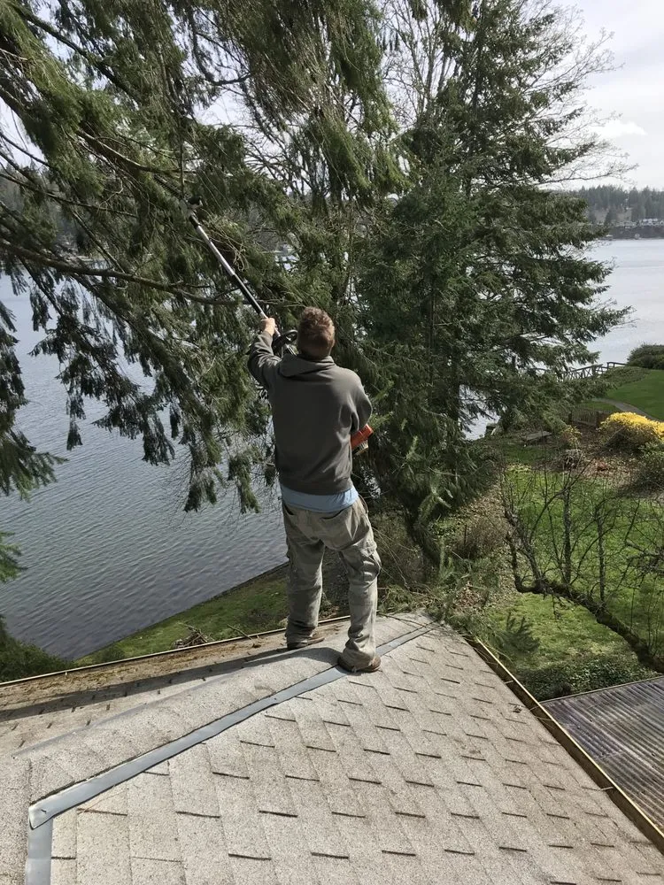 Top-rated garden landscaping near you in Port Orchard, WA by Beckman property cleanup