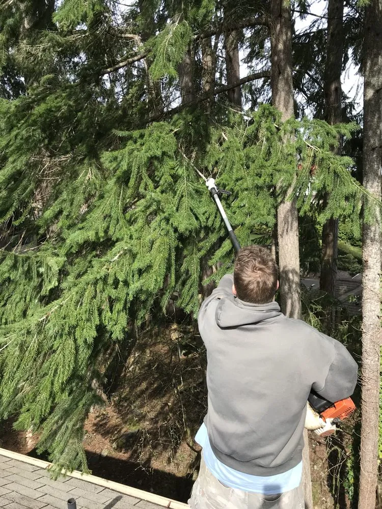 Reliable residential landscaping in Port Orchard, WA - Beckman property cleanup