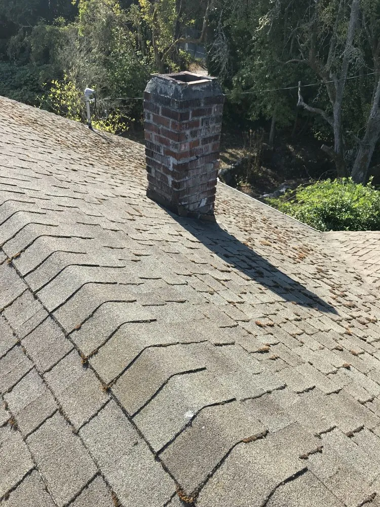 Trusted landscaping services experts serving Port Orchard, WA - Beckman property cleanup