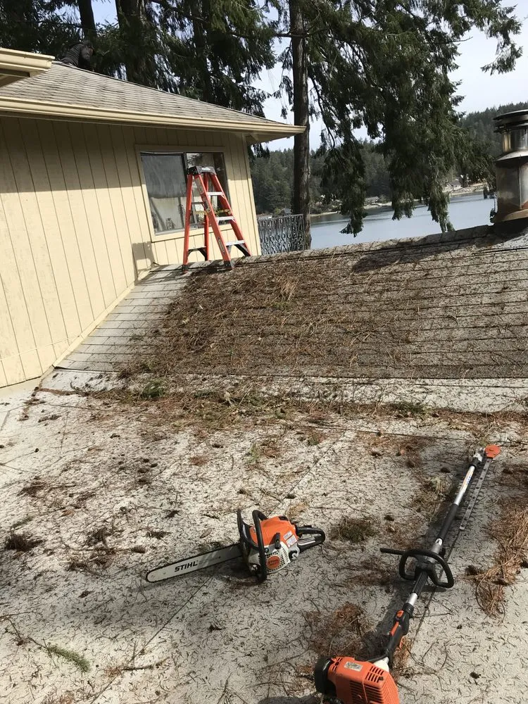 Reliable outdoor landscaping in Port Orchard, WA - Beckman property cleanup