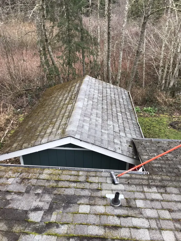 Expert yard cleanup service with custom design in Port Orchard, WA by Beckman property cleanup