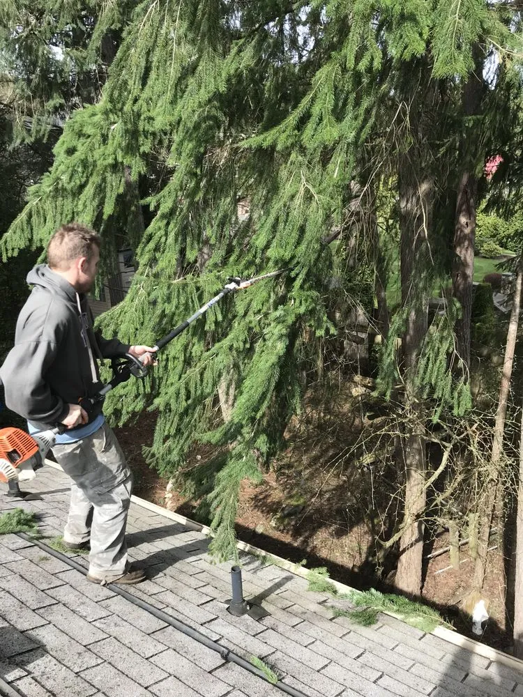 Top-rated lawn care service experts serving Port Orchard, WA - Beckman property cleanup