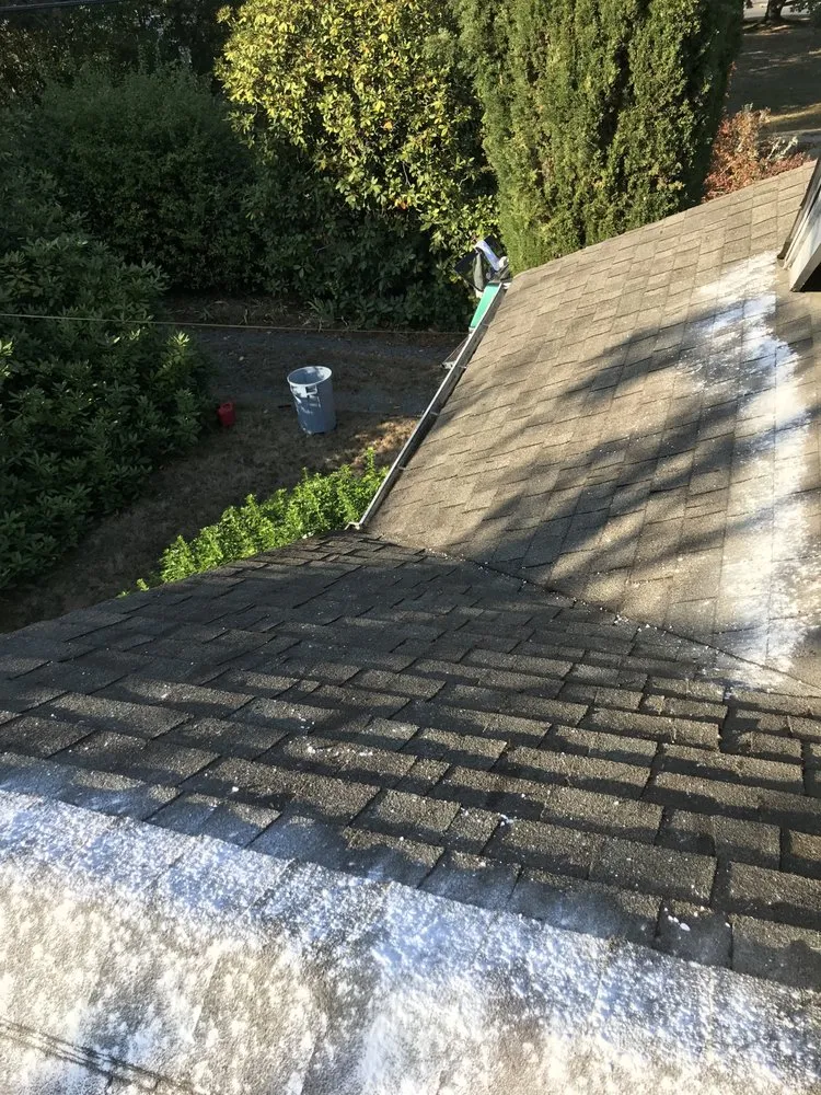 Expert landscape installation for homes across Port Orchard, WA - Beckman property cleanup