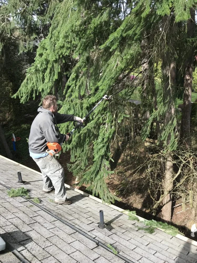 Expert lawn mowing service for beautiful yards in Port Orchard, WA by Beckman property cleanup