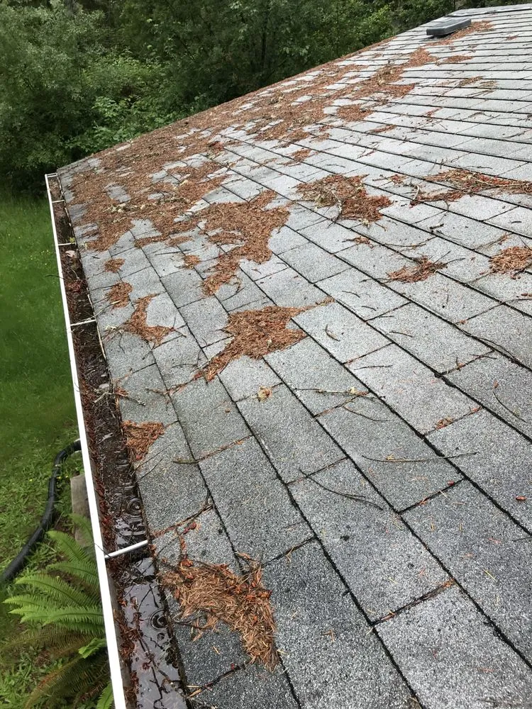 Affordable landscape design in Port Orchard, WA - Beckman property cleanup