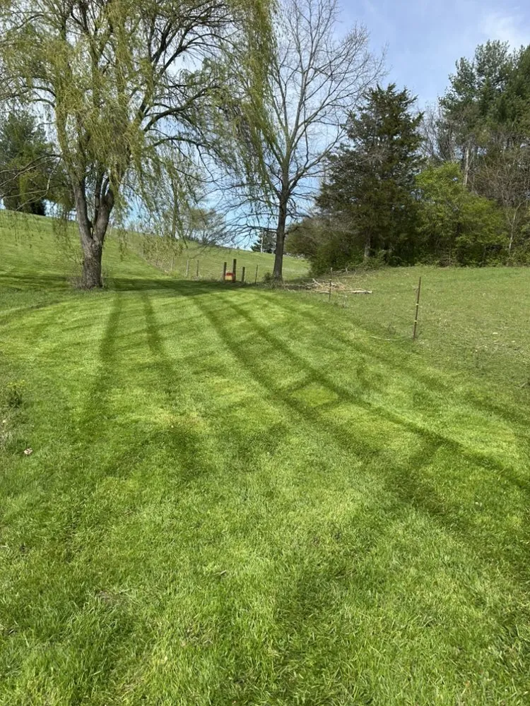 Affordable yard maintenance for residential properties in Lawrenceburg, IN by Becknell Premium Services