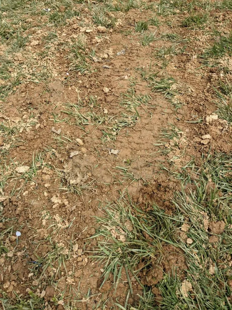 Custom garden landscaping for homes in North Potomac, MD by Beck's Lawn & Garden Services