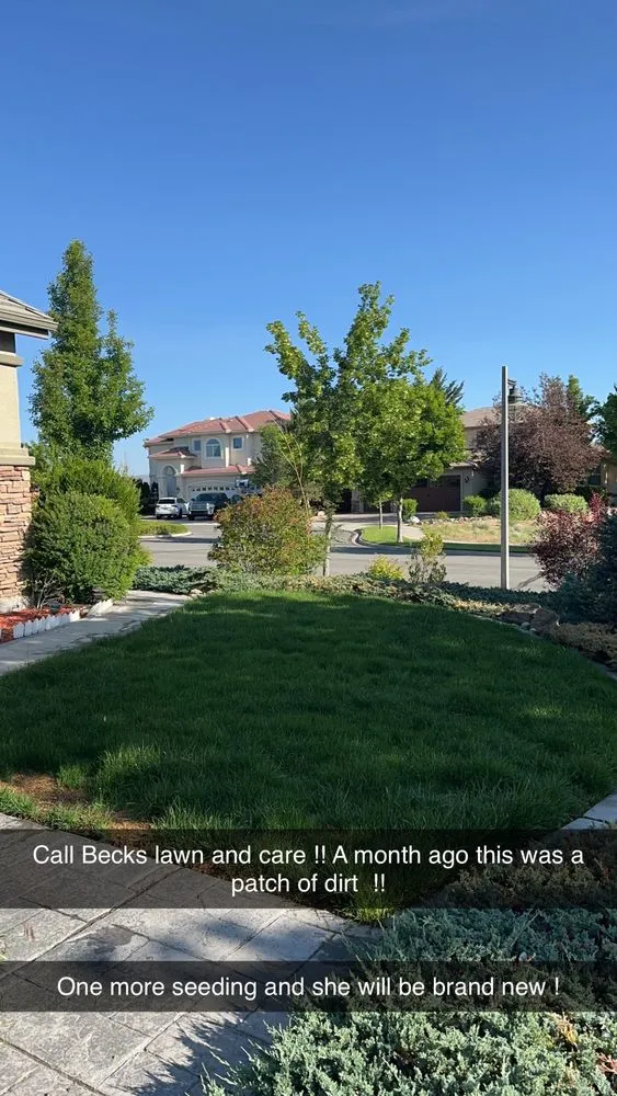 Custom yard maintenance for beautiful yards in Reno, NV by Becks Lawn And Care