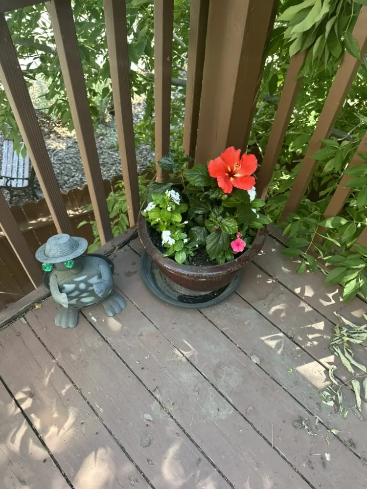 Professional landscape installation with custom design across Reno, NV - Becks Lawn And Care