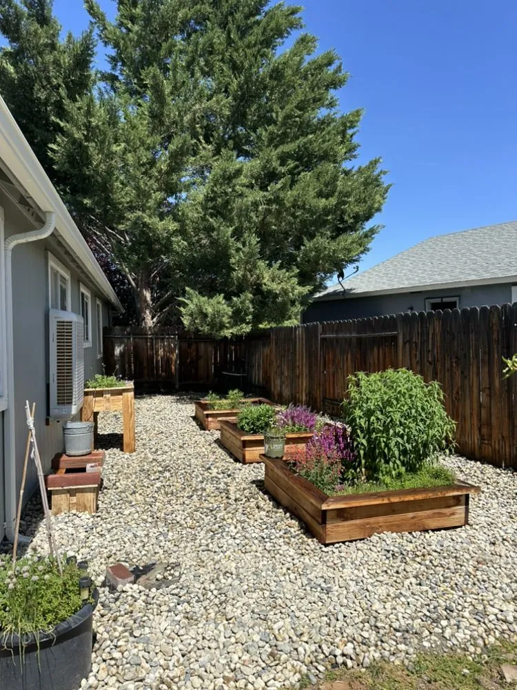Professional yard maintenance for year-round maintenance across Reno, NV - Becks Lawn And Care