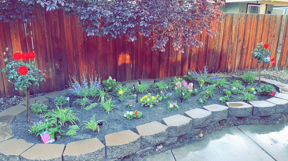 Professional garden landscaping in Reno, NV by Becks Lawn And Care