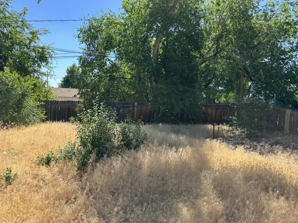 Expert outdoor landscaping in Reno, NV by Becks Lawn And Care