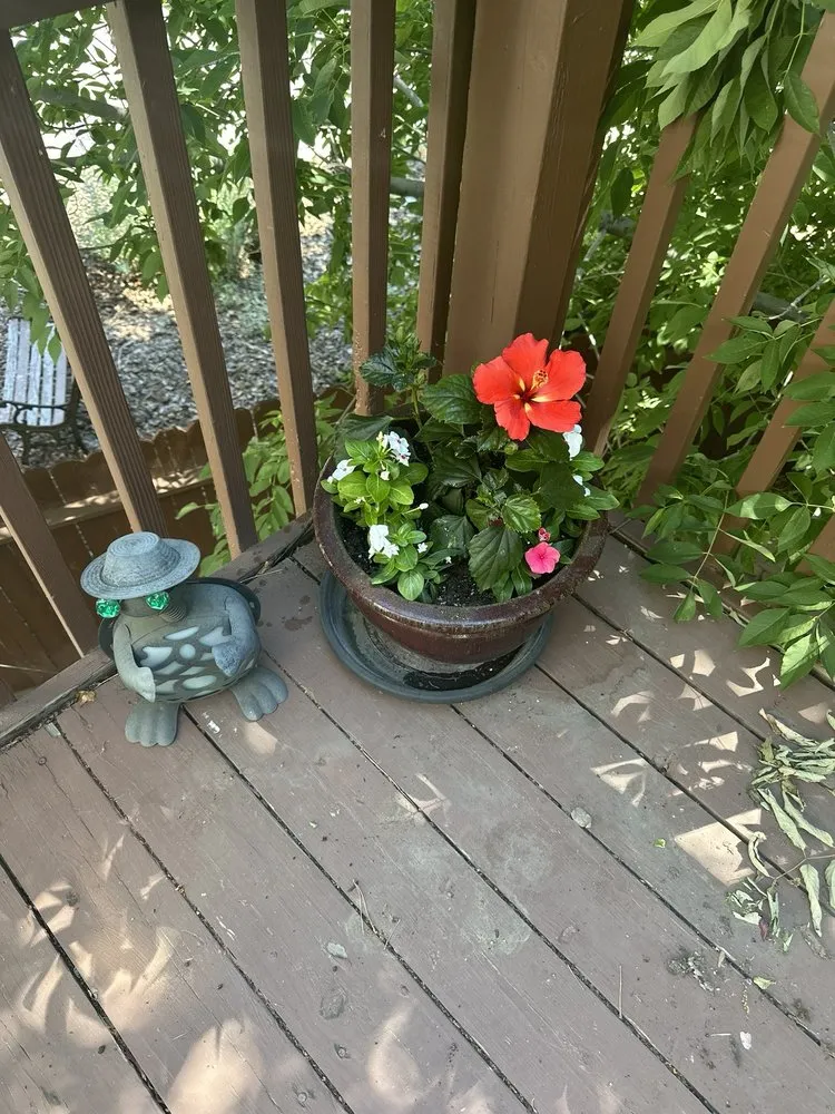 Expert garden landscaping in Reno, NV - Becks Lawn And Care