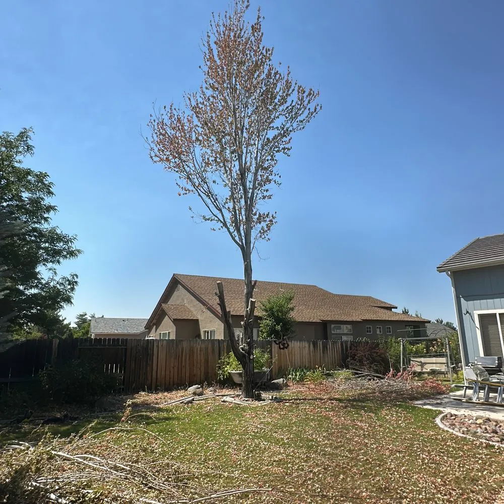 Trusted yard cleanup service for homes across Reno, NV - Becks Lawn And Care