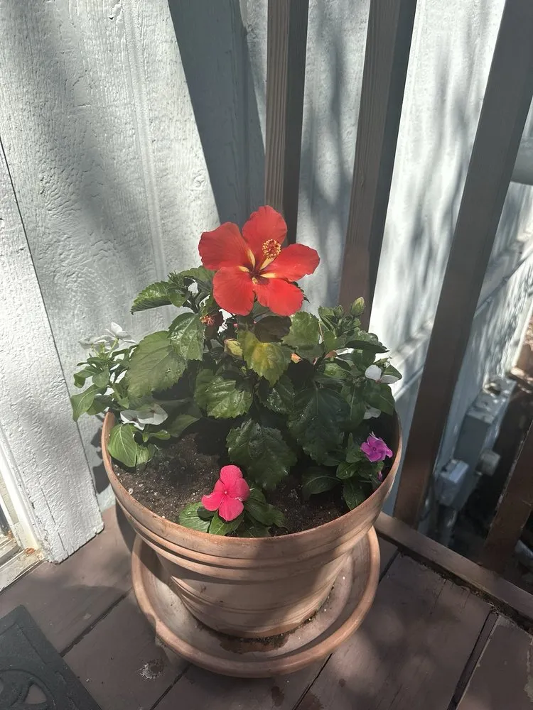 Expert outdoor landscaping in Reno, NV by Becks Lawn And Care