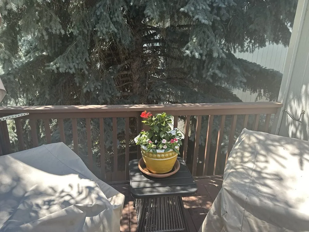 Affordable lawn mowing service in Reno, NV by Becks Lawn And Care