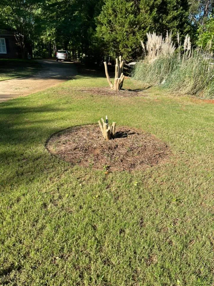 Trusted lawn mowing service in Columbus, GA by Becks Lawn Care and More