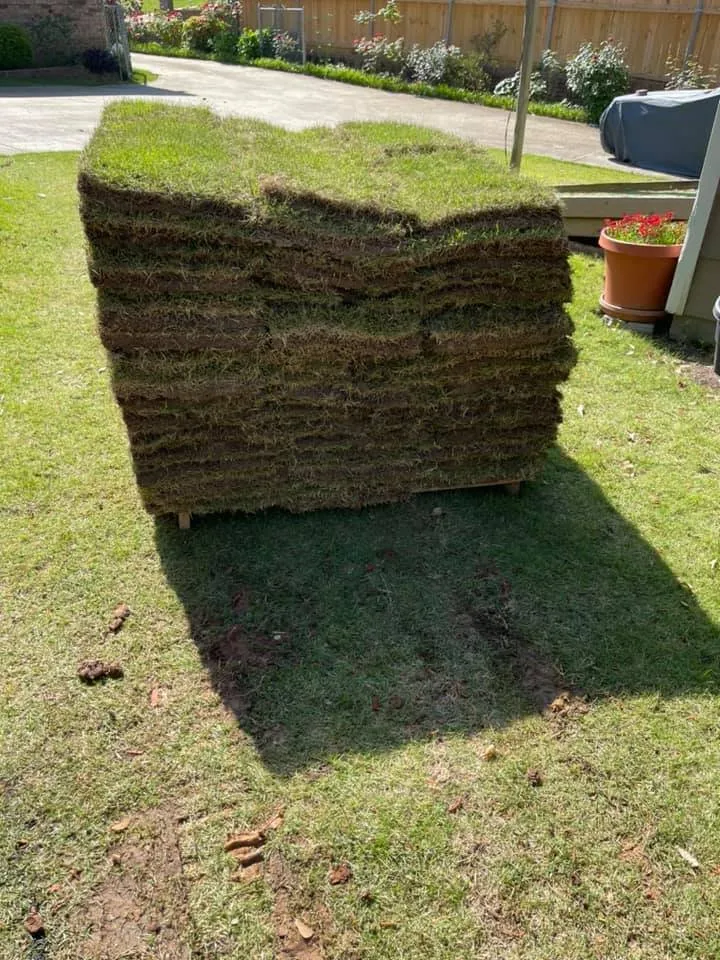 Trusted yard cleanup service for beautiful yards across Columbus, GA - Becks Lawn Care and More