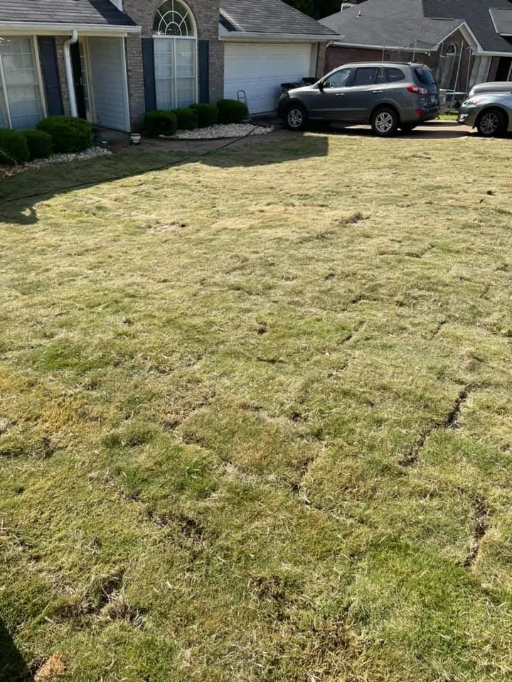 Expert lawn mowing service near you in Columbus, GA by Becks Lawn Care and More