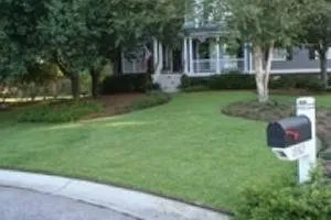 Trusted landscape installation for residential properties in Tuskegee, AL by Beck's Turf