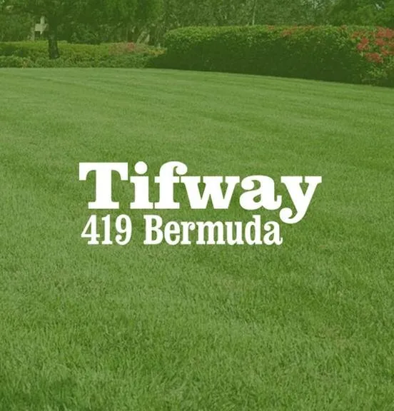 Expert yard maintenance in Tuskegee, AL - Beck's Turf