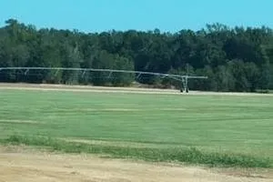 Top-rated yard maintenance in Tuskegee, AL by Beck's Turf