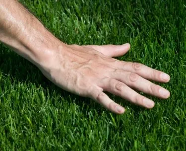 Custom residential landscaping in Tuskegee, AL by Beck's Turf