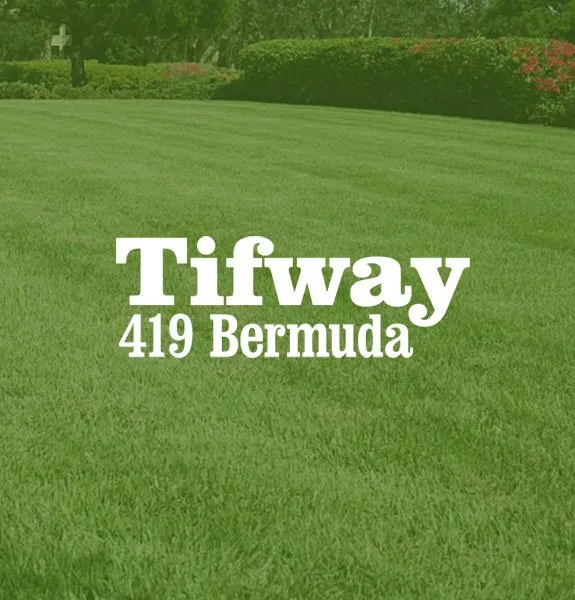 Custom yard cleanup service for year-round maintenance in Tuskegee, AL by Beck's Turf