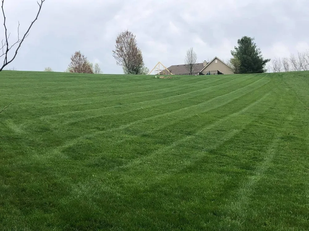 Local yard cleanup service experts serving Doniphan, MO - Beckwith Lawncare & Landscaping