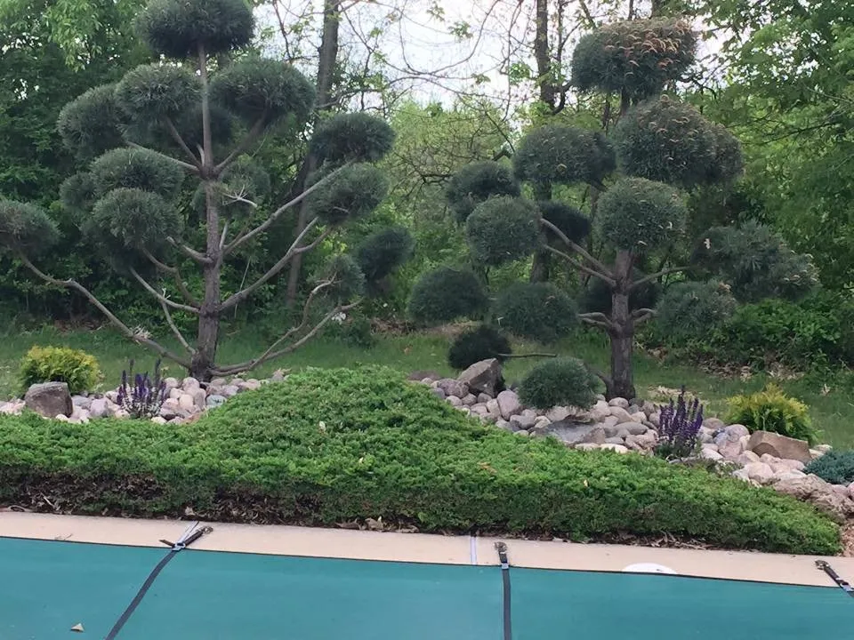 Reliable residential landscaping in Doniphan, MO - Beckwith Lawncare & Landscaping