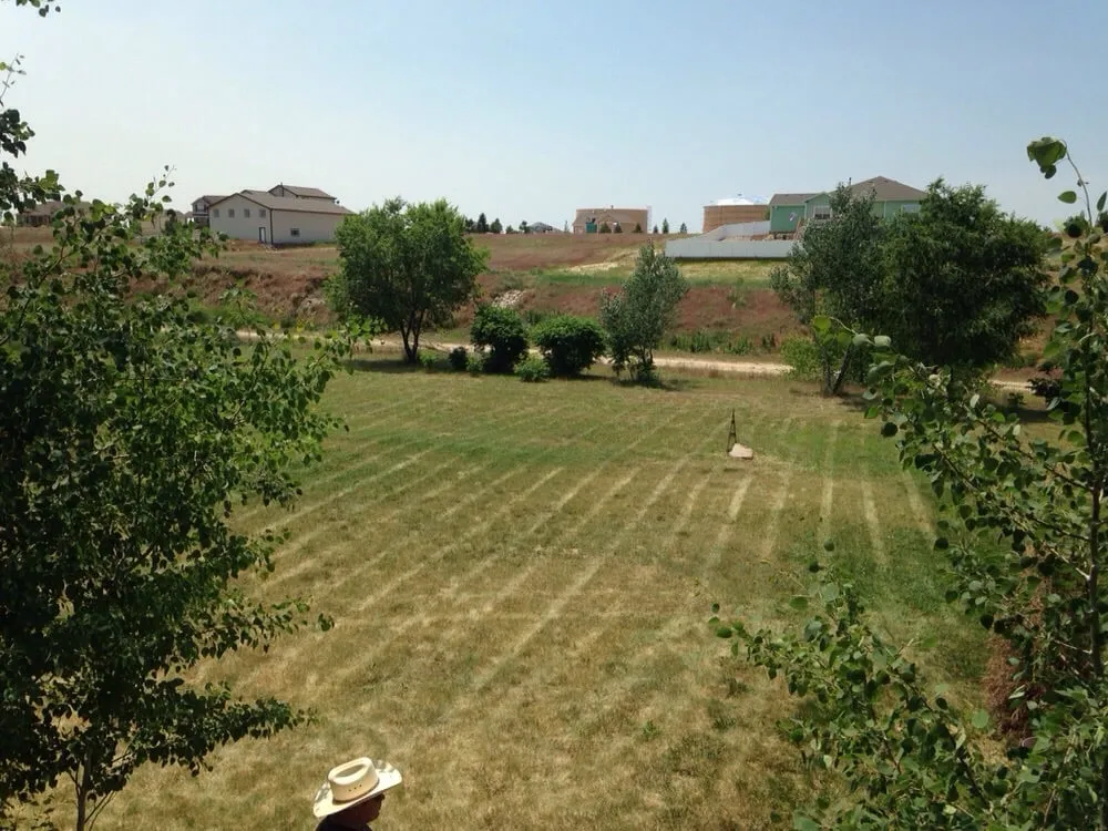 Affordable garden landscaping for year-round maintenance across Brighton, CO - Beckwith Services