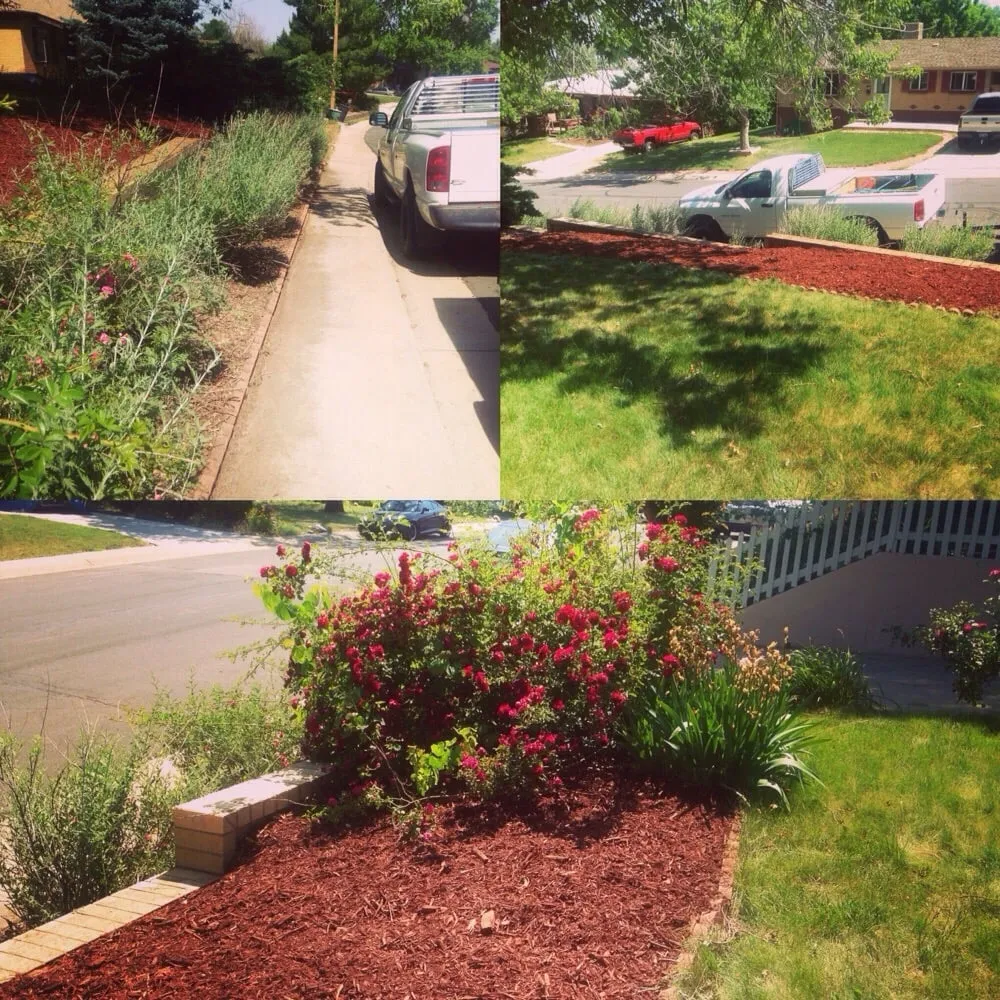 Affordable yard maintenance for homes in Brighton, CO by Beckwith Services