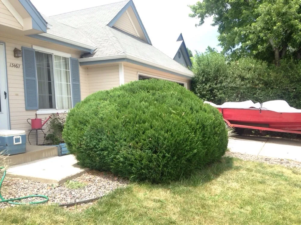 Custom yard maintenance near you in Brighton, CO by Beckwith Services