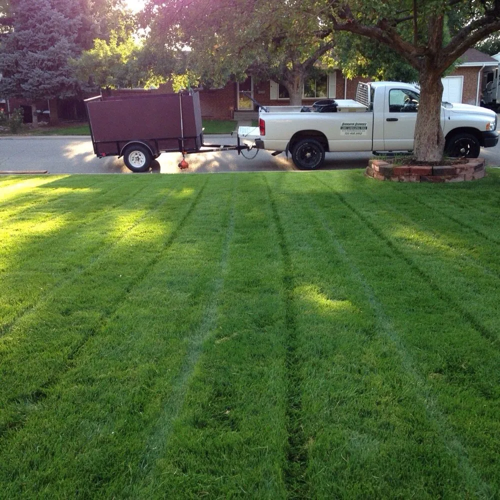 Top-rated yard cleanup service in Brighton, CO by Beckwith Services
