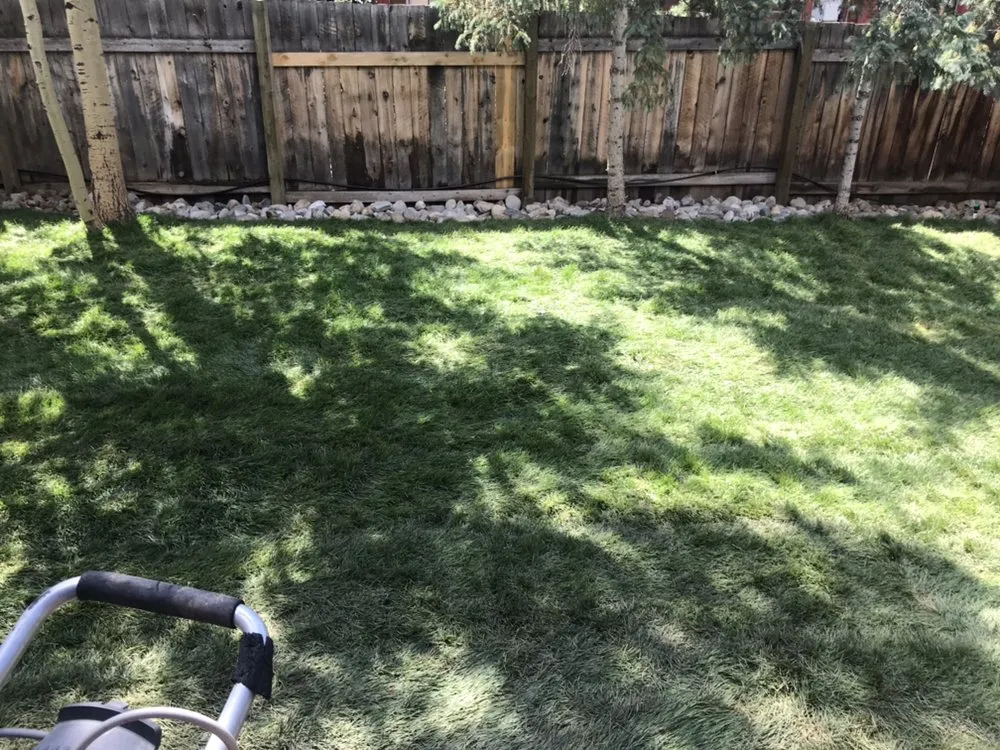 Local lawn mowing service for homes in Silverthorne, CO by Becky's Clean and Green